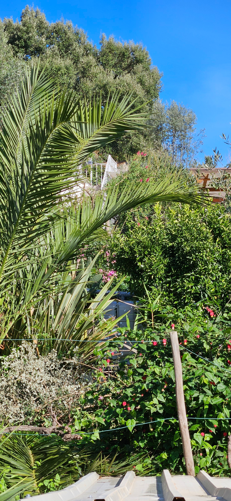 Der üppige Garten
